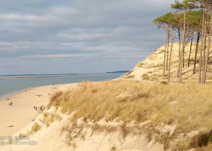 Chez Ced - Gujan-Mestras / Bassin D\'Arcachon