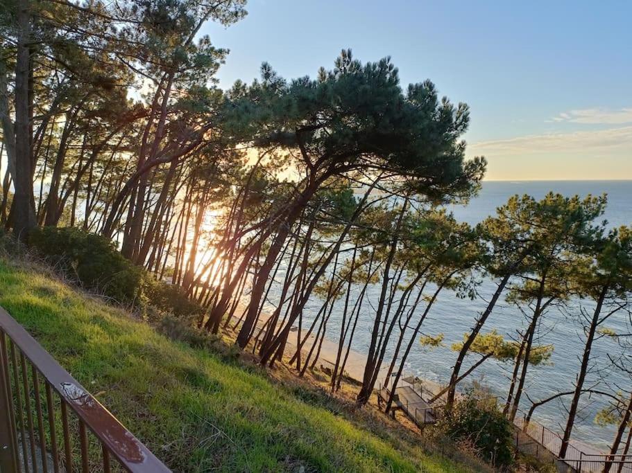 Chez Ced - / Bassin D'arcachon Holiday home