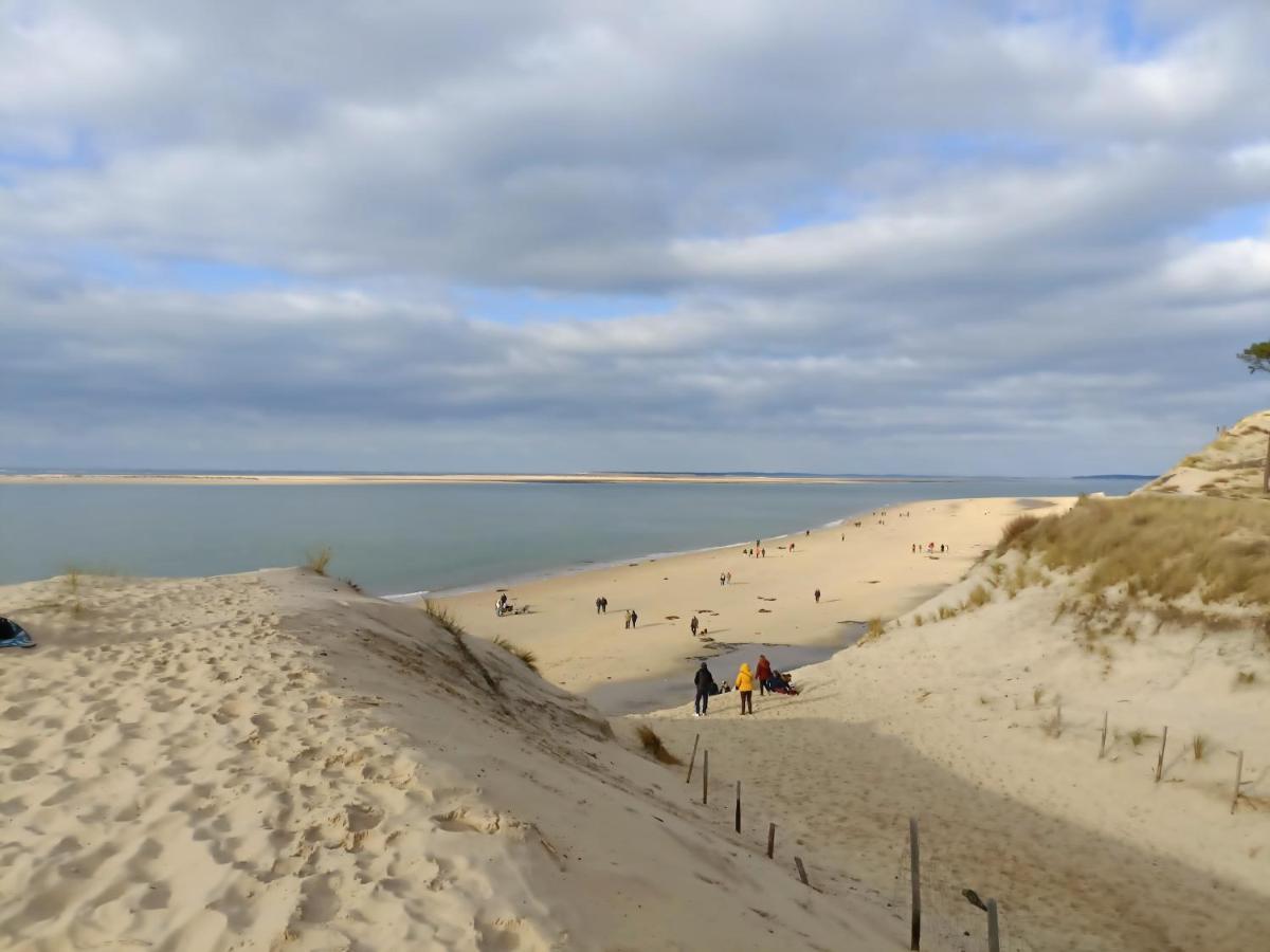 Chez Ced - / Bassin D'arcachon